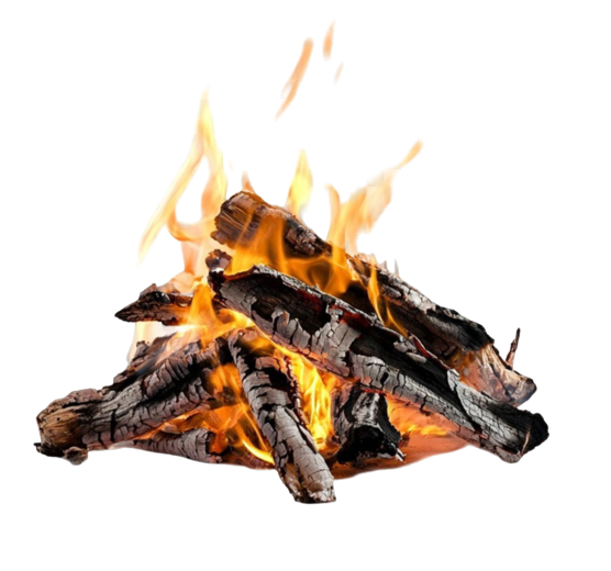 Burning wood logs